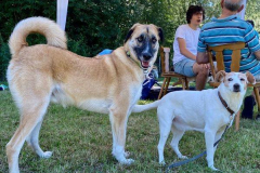 2022_Sommerfest_Manu8