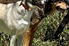 2022_Sommerfest_Manu9