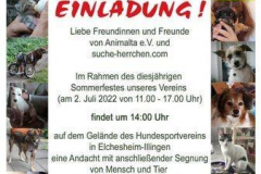 sommerfest-Einladung