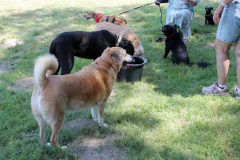 2025_Sommerfest-114