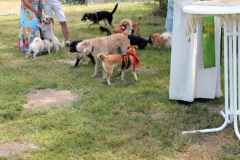 2025_Sommerfest-266