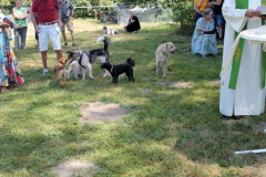 2025_Sommerfest-305