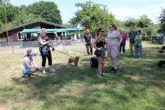 2025_Sommerfest-323