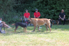 2025_Sommerfest-347