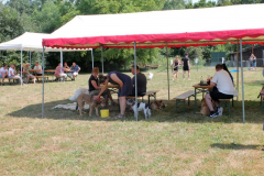 2025_Sommerfest-41