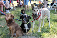 2025_Sommerfest-439