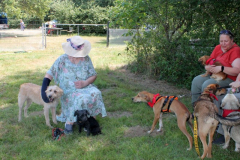 2025_Sommerfest-72