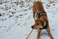 2025_Sitia_Spok2_Hanni