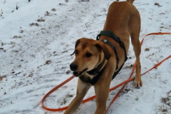 2025_Sitia_Spok4_Hanni