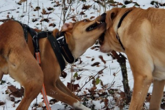 2025_Sitia_Spok5_Hanni