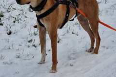 2025_Sitia_Spok_Hanni