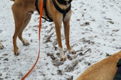 2025_Sitia_Spok_Hanni2