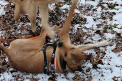 2025_Sitia_Spok_Hanni3