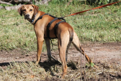 2025_Sitia_Spok_neu-1