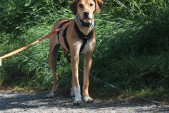 2025_Sitia_Spok_neu-4