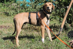 2025_Sitia_Spok_neu-7