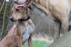 2026_Sitia_Spok_Hanni-13