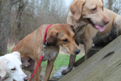 2026_Sitia_Spok_Hanni-17