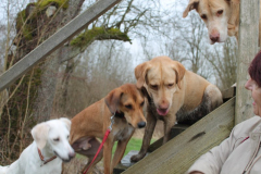 2026_Sitia_Spok_Hanni-19