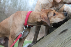 2026_Sitia_Spok_Hanni-22