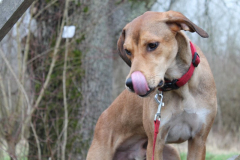 2026_Sitia_Spok_Hanni-25