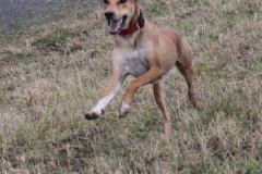 2026_Sitia_Spok_Hanni-47