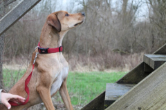 2026_Sitia_Spok_Hanni-7