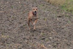 2026_Sitia_Spok_Hanni-78