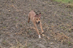 2026_Sitia_Spok_Hanni-81