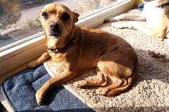 2026_Stella_Sizilien_Balser3