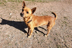 2026_Stella_Sizilien_Balser4