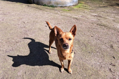 2026_Stella_Sizilien_Balser5