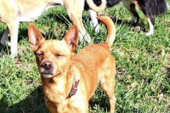 2026_Stella_Sizilien_Balser6