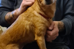 2026_Stella_Sizilien_Balser8