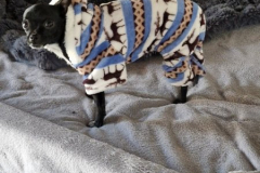 2026_AAA_Tom_nach-OP