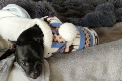 2026_AAA_Tom_nach-OP2