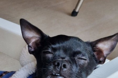 2026_AAA_Tom_nachOP3_Urbasik