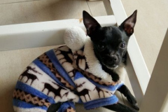 2026_AAA_Tom_nachOP4_Urbasik