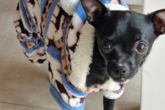 2026_AAA_Tom_nachOP5_Urbasik