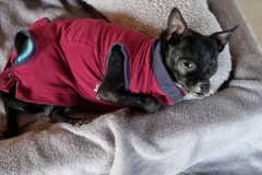 2026_AAA_Tom_nachOP6_Urbasik