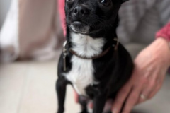 2026_AAA_Tom2_Urbasik