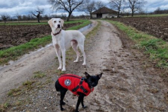 2026_AAA_Tom3_Urbasik