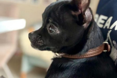 2026_AAA_Tom8_Urbasik