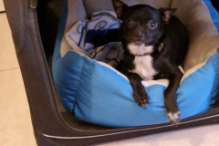 2026_AAA_Tom9_Urbasik