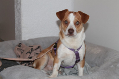 2025_Sitita_Fabio_Kissling-10