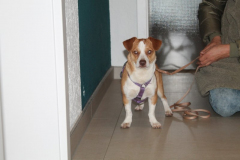 2025_Sitita_Fabio_Kissling-13