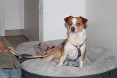 2025_Sitita_Fabio_Kissling-7