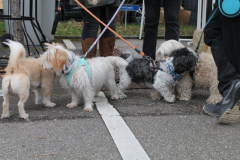 2023_Cisara_Tag-offenen-Tuer-3-Kopie