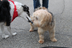 2023_Tag-offenen-Tuer-18