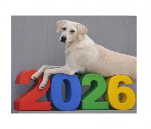 Neujahrswünsche 2026